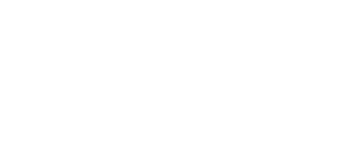 フェスタボックス